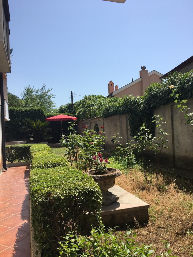 Apartment Garden Kotor Exterior foto